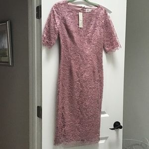 Eliza J Embroidered Lace Overlay Cocktail Dress in Mauve Size 6